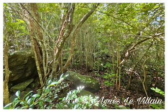 achat terrain bouillante 97125