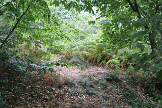 achat terrain bouille-menard 49520