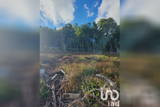 achat terrain bourbach-le-haut 68290