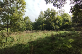 achat terrain boussay 37290