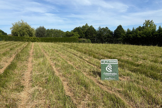 achat terrain brassempouy 40330