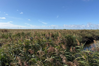 achat terrain braud-et-st-louis 33820
