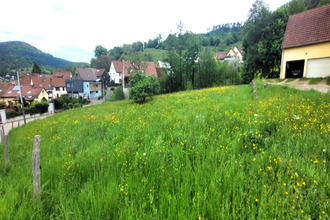achat terrain breitenbach-haut-rhin 68380