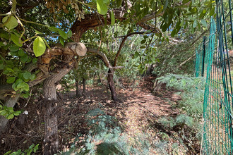 achat terrain brem-sur-mer 85470