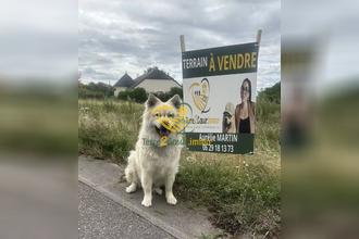 achat terrain briare 45250