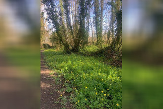 achat terrain briarres-sur-essonne 45390