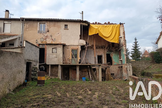 achat terrain briennon 42720