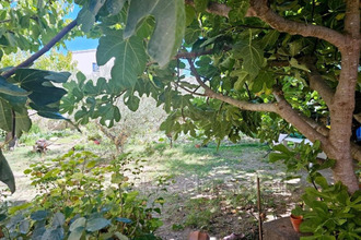 achat terrain brignoles 83170