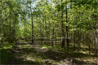 achat terrain brinon-sur-sauldre 18410