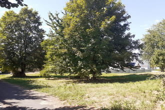 achat terrain brion 49250