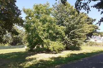 achat terrain brion 49250