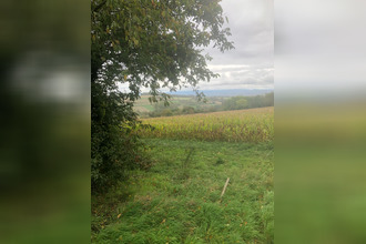 achat terrain bruebach 68440