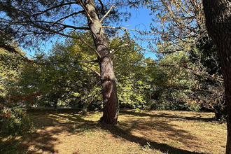 achat terrain buzet-sur-tarn 31660