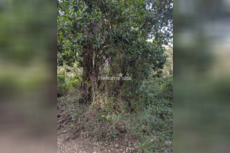 achat terrain cabasse 83340