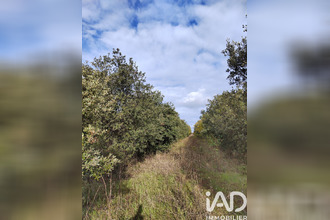 achat terrain cairanne 84290