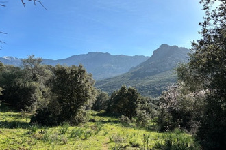 achat terrain calenzana 20214