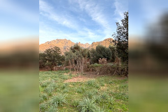achat terrain calenzana 20214