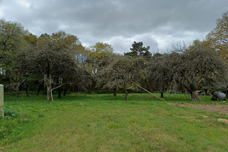 achat terrain camoel 56130