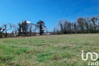 achat terrain camors 56330