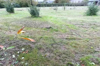 achat terrain cande 49440