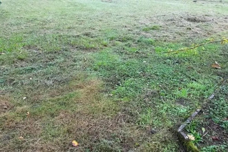 achat terrain cande 49440