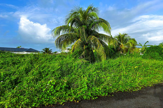 achat terrain capesterre-belle-eau 97130