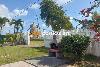 achat terrain capesterre-de-marie-galante 97140