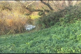 achat terrain cappelle-brouck 59630