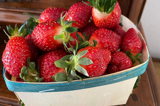 achat terrain carros 06510