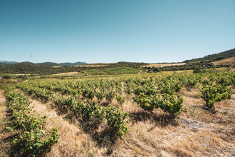 achat terrain cascastel-des-corbieres 11360