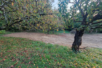 achat terrain castelnau-d-estretefonds 31620