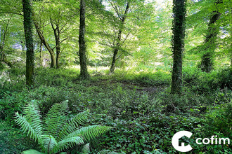 achat terrain castetis 64300