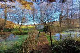 achat terrain cellefrouin 16260