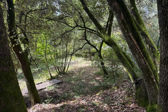 achat terrain cendras 30480