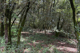 achat terrain cendras 30480