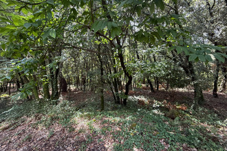 achat terrain cendras 30480