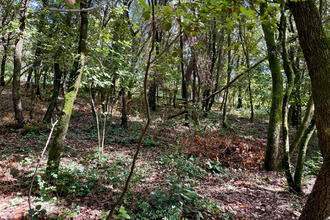 achat terrain cendras 30480
