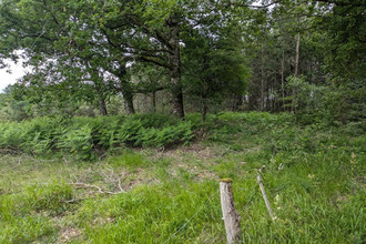 achat terrain cercoux 17270