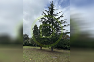 achat terrain cestas 33610