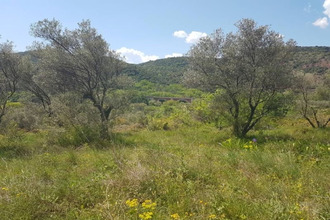 achat terrain ceyras 34800