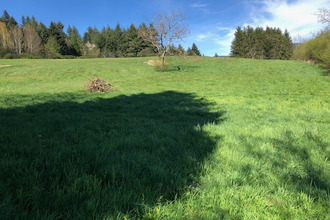 achat terrain chabreloche 63250