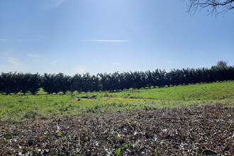 achat terrain chabrignac 19350