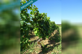 achat terrain chagny 71150