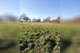 achat terrain chaillac 36310