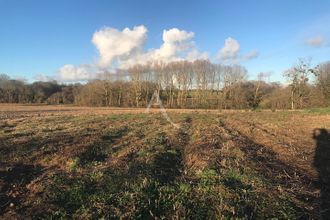 achat terrain champagne 17620