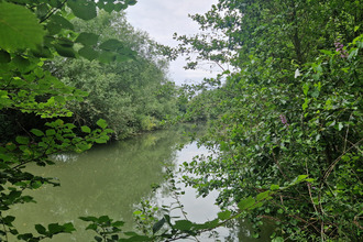 achat terrain champagne 72470