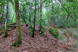 achat terrain champagney 70290