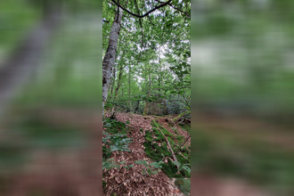 achat terrain champagney 70290