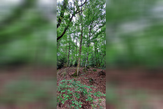 achat terrain champagney 70290