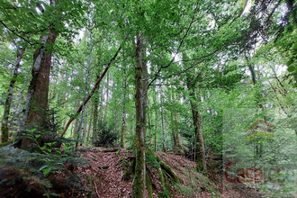 achat terrain champagney 70290